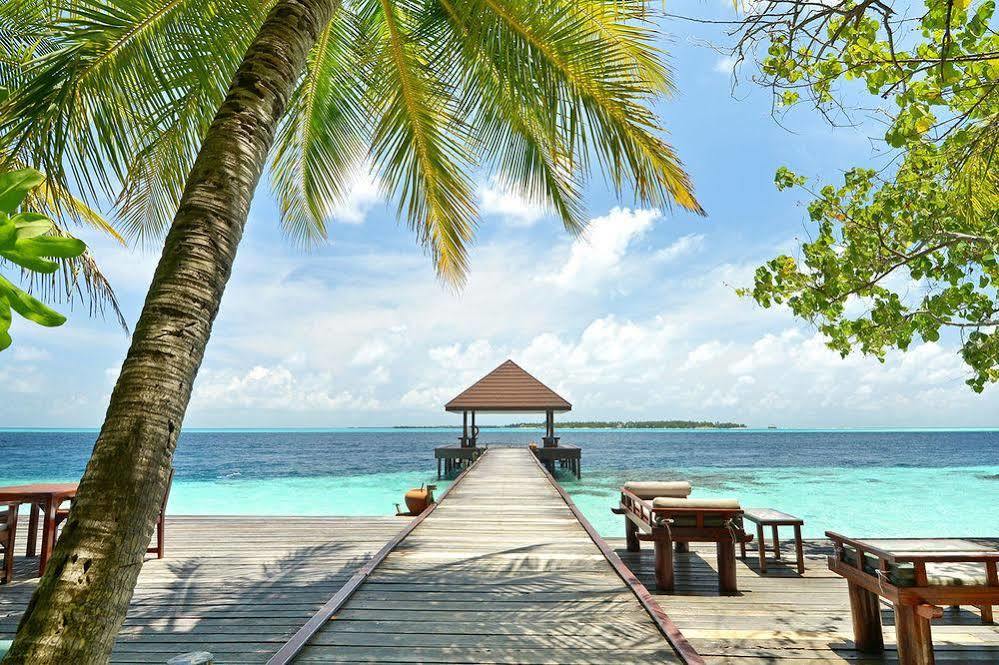 Ranveli Village Villingilivaru Island Extérieur photo